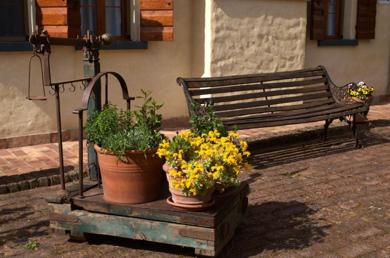 B&B Fetonte Crespino Exterior photo