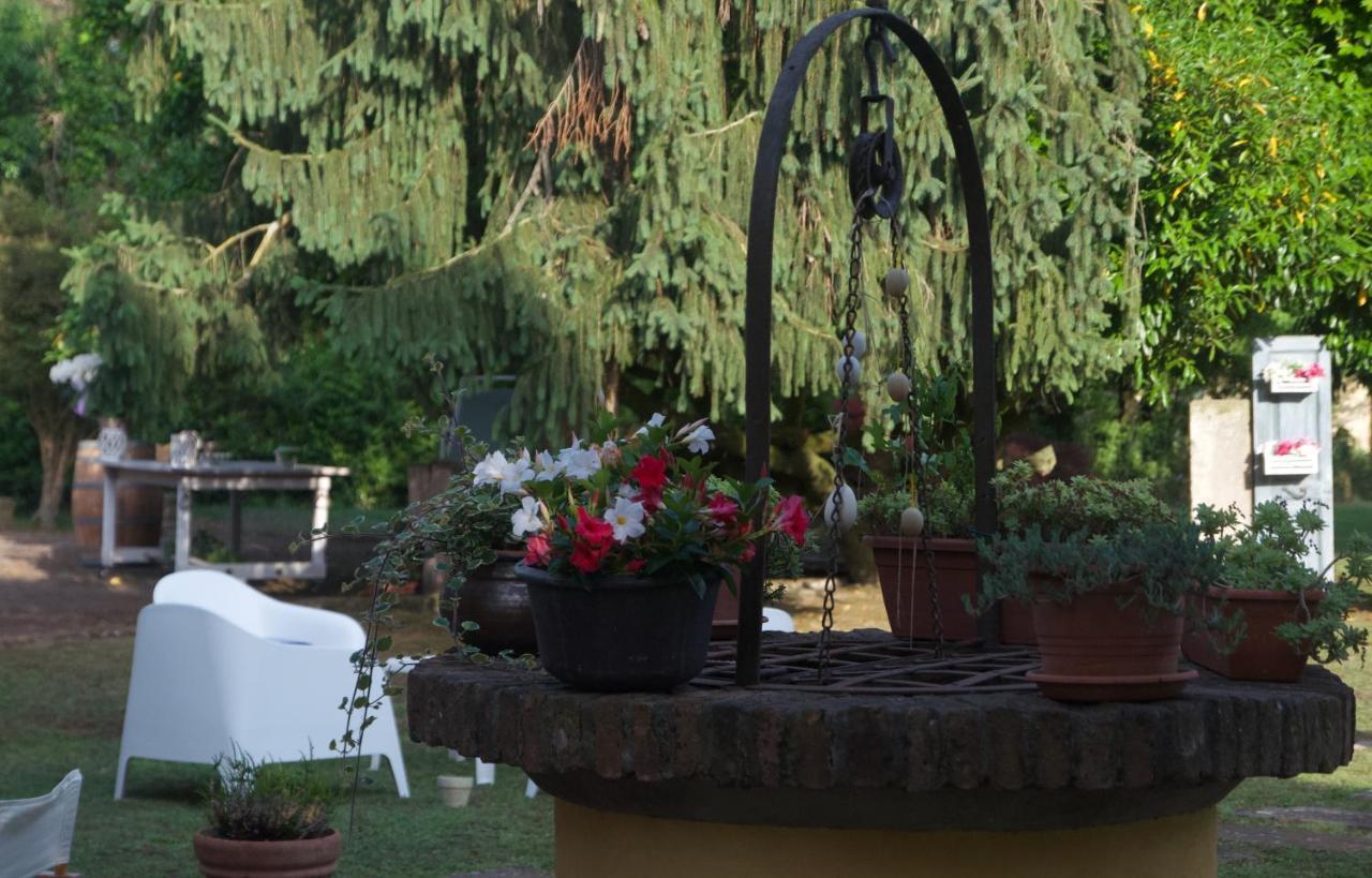 B&B Fetonte Crespino Exterior photo